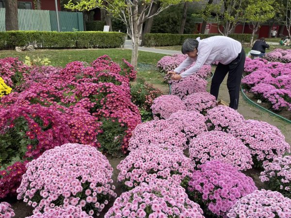嗨牛股票 长假的北京“有谁在”？体育明星、公园秋景拉满假日文旅消费氛围